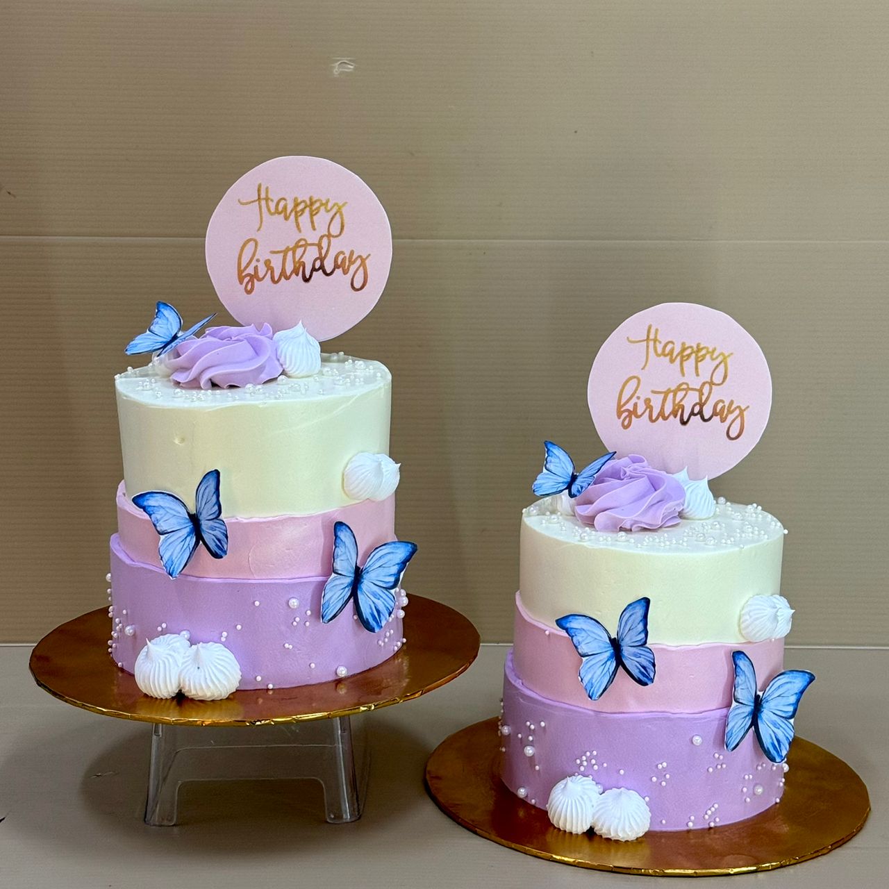 WhatsApp Image 2025-07-18 at 6.27.42 PM(1)