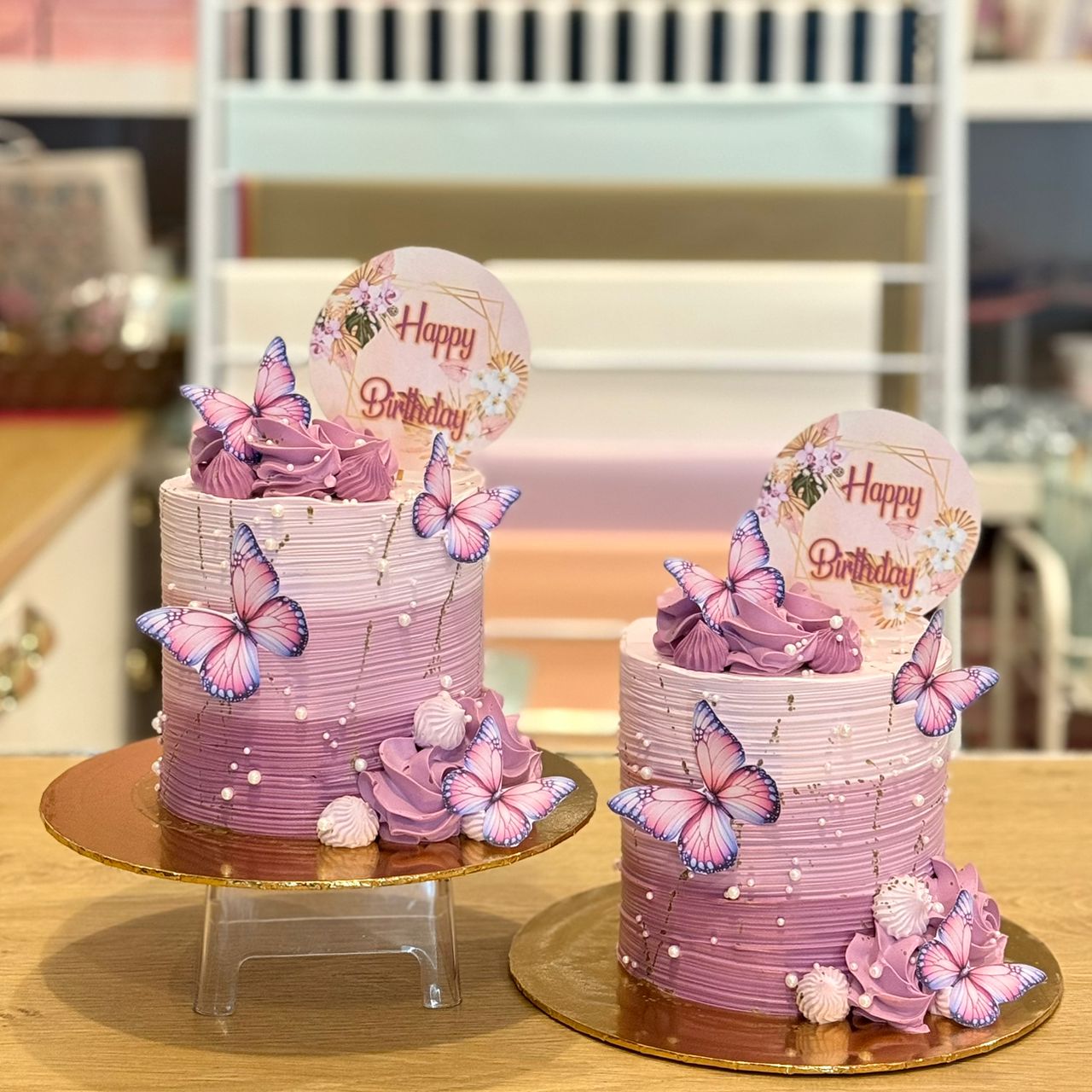 WhatsApp Image 2025-10-31 at 8.12.46 PM (3)