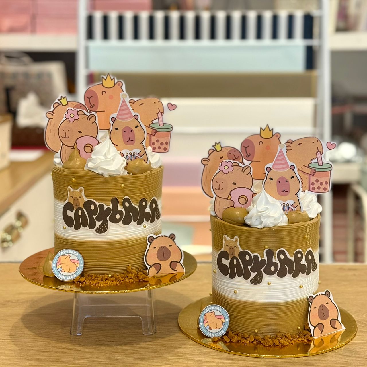 WhatsApp Image 2025-11-08 at 7.32.01 PM