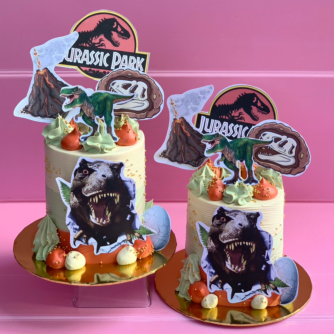 WhatsApp Image 2026-01-23 at 6.30.26 PM